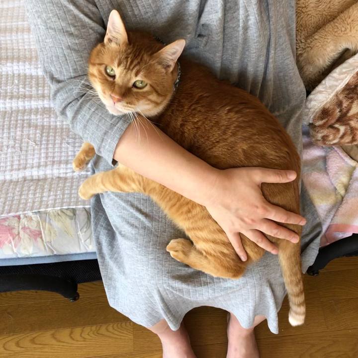 Fc29558d 12ac 48e2 88b4 eee1dab3a2ee 1586048276930