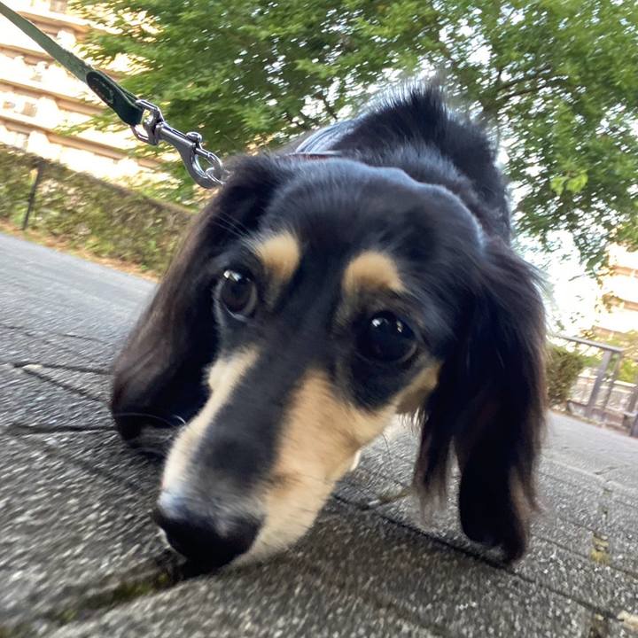 Fc298789 d6a2 4da4 99e6 459934232b89 1756864977926