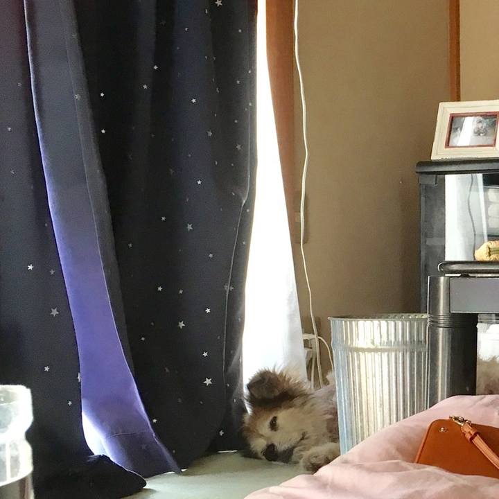 Fc29a039 88df 439d 9229 3397c6c13909 1614048711693