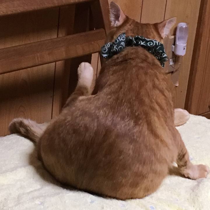 Fc29a364 fd0b 46ee 9630 f7659cfeb206 1537879713261