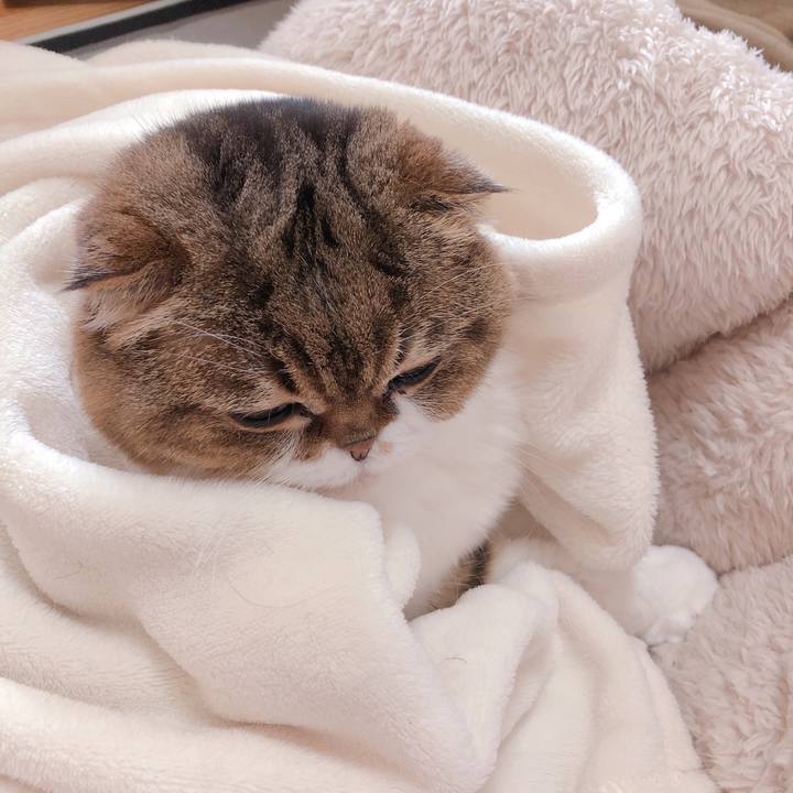 Fc29ca6a 18a2 4f4f b9e0 a6bb7407a5dc 1554724755835