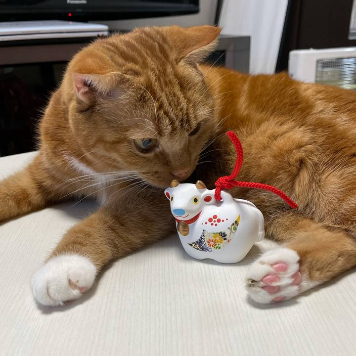 Fc29e579 cbc4 4b2e a4e9 2e1e1a57e62a 1609487847134