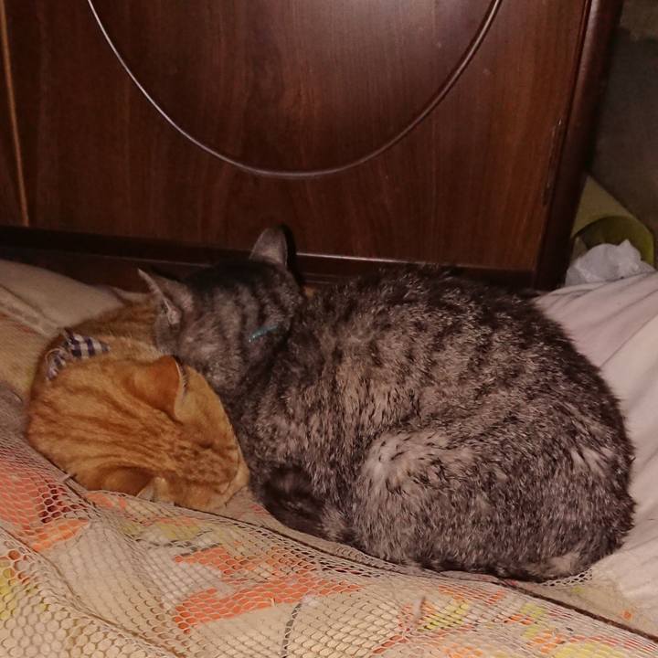 Fc29ed0b 0f31 421b b93d eda573a40e7d 1606733893855