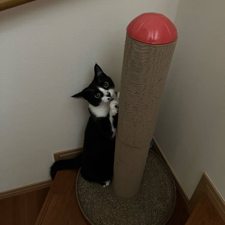 Fc2a7390 6e67 4b11 828a ba6569ce0926 1689382391005