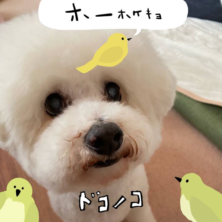 Fc2ac8b5 0591 40ad 896d 971893e9cd86 1711021191108