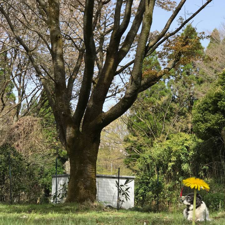 Fc2ac957 2eb0 421e b4cc 7b9fc63258c6 1523515608762