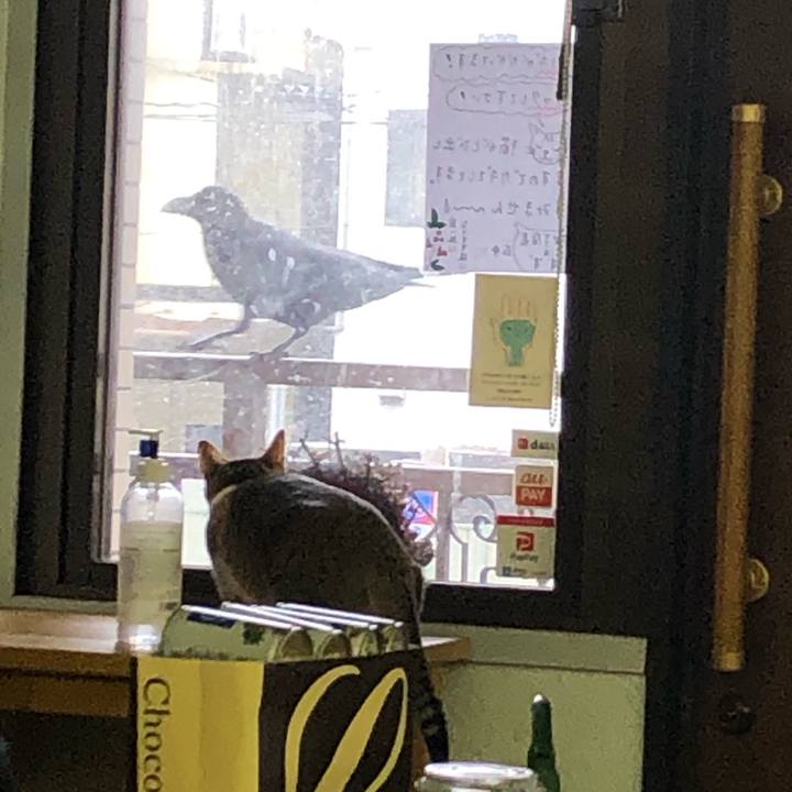 Fc2acbd3 2057 4f32 9714 baf8587a8d6d 1611106024286