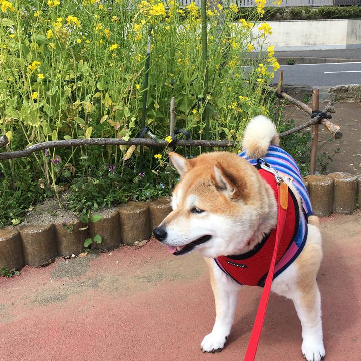 Fc2af20b 5193 4051 b690 3f78fa18e779 1583985083289