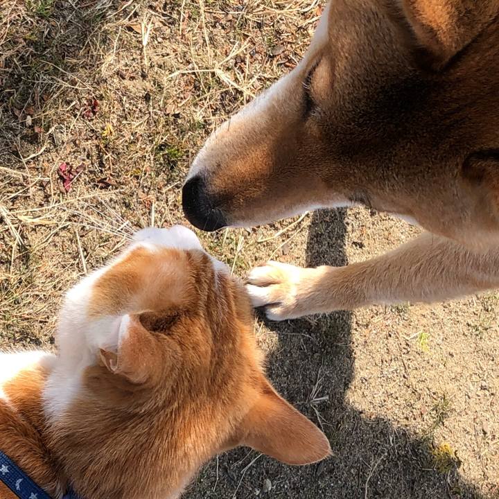 Fc2af4cb 675e 4f57 8b71 0d8a4a0bcbae 1552788997141