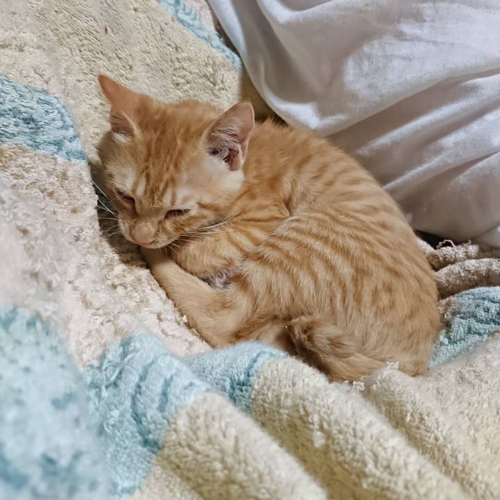 Fc2b6737 70a7 46e0 87fc 7c2c030eaea9 1632744777133