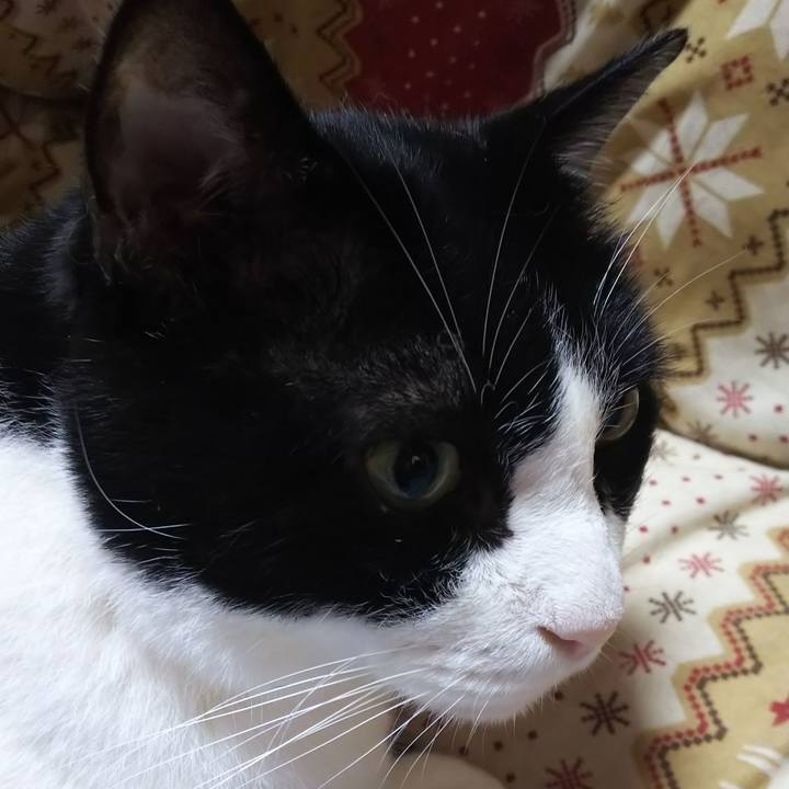 Fc2b6945 4cb8 40dd 868d 52b2c010601e 1567029113661