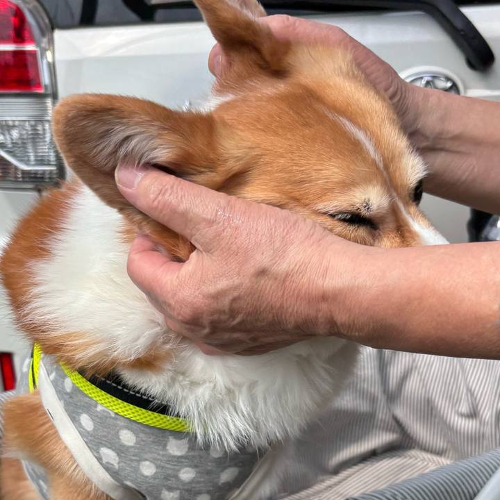 Fc2b6a73 26b1 483e 90a4 d47ee99d2535 1743043919446