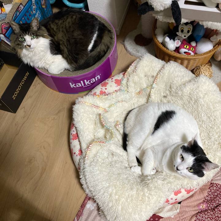 Fc2b7736 eda1 4f3b b2cd 74cbcd9756eb 1772285967696