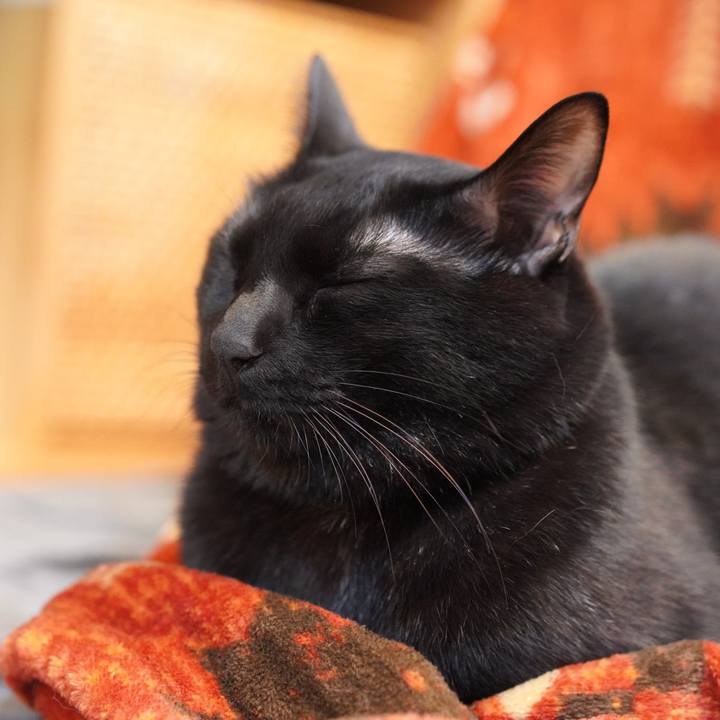 Fc2bbc8c d0f6 482c b883 0d1f33ef5e44 1577179293840