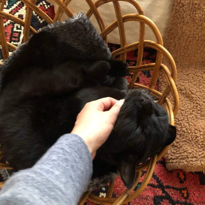 Fc2bda7e 926c 49cf 96ef 3173caf574ee 1574642818549