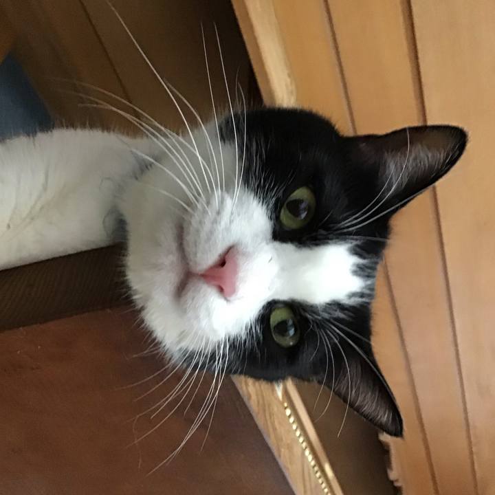 Fc2bdbb1 a8e8 4d3a 910e cf7c7c37174c 1754209593034