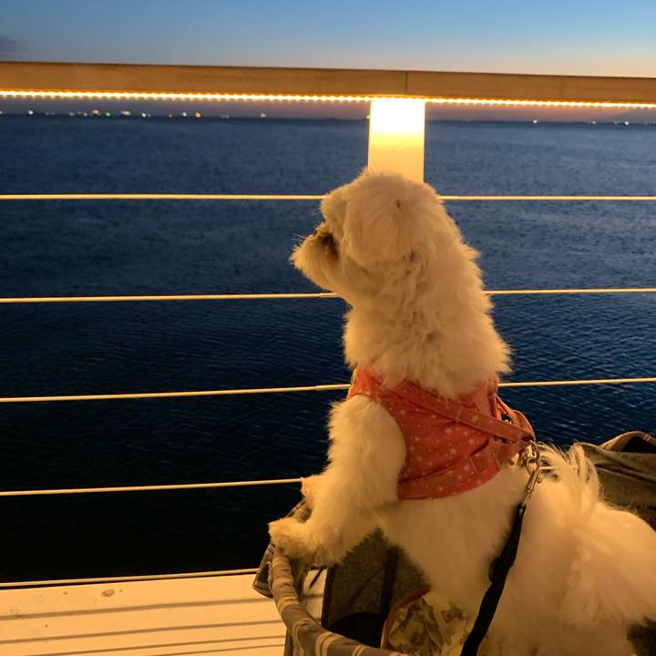 Fc2be674 e020 4baf a573 5cc9eee72dea 1695561410624