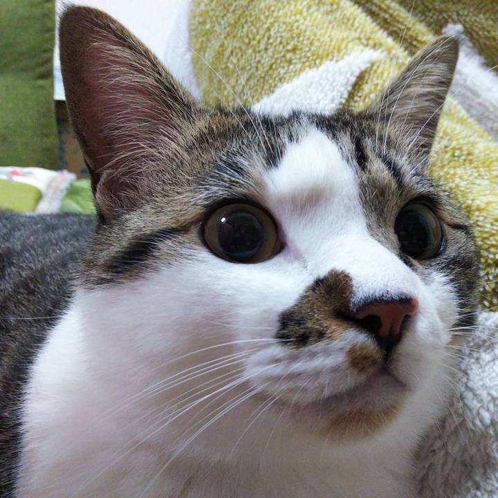 Fc2bf9ca ba29 47ab 9e48 236e06a03f14 1652449038691