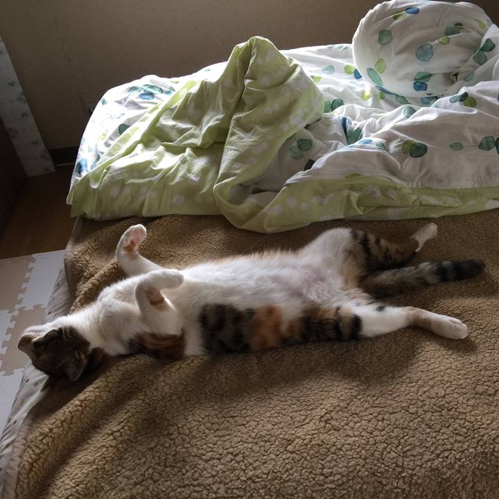 Fc2c1690 d8a5 4be7 a065 a2d2fddb2942 1654651687342