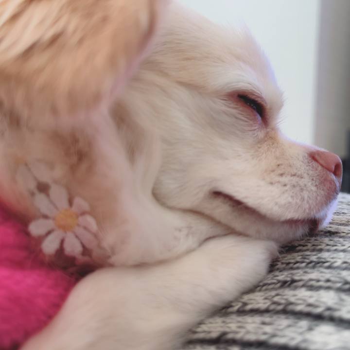 Fc2c2265 140e 4685 9a11 38087c3cea5d 1697375384977