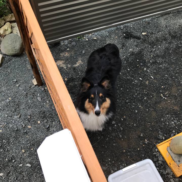 Fc2c6720 f9d2 4c32 a117 a557492817f5 1528236586846