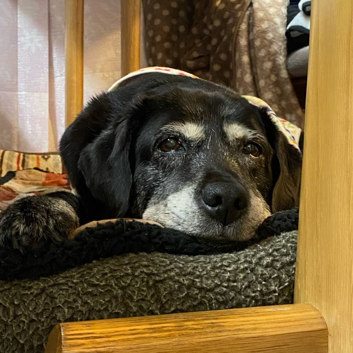 Fc2c7631 3141 40bb bc3f 1382401fa3e4 1736211020166