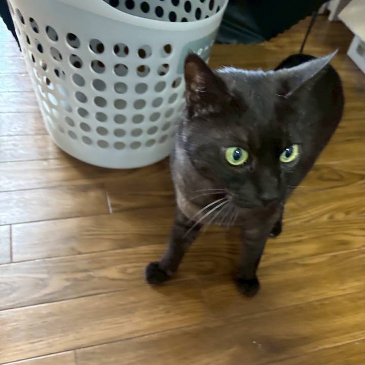 Fc2c901c 6ea3 4432 b339 582f85114111 1766384333541