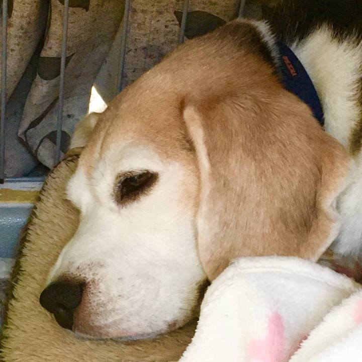 Fc2cbe3d 0757 4406 848e 733cf7a05355 1764551382087