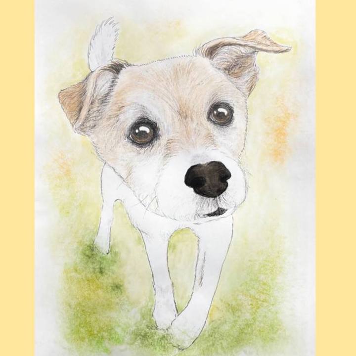 Fc2ccee4 8769 426b 98b1 7e49e21e3448 1679272328284