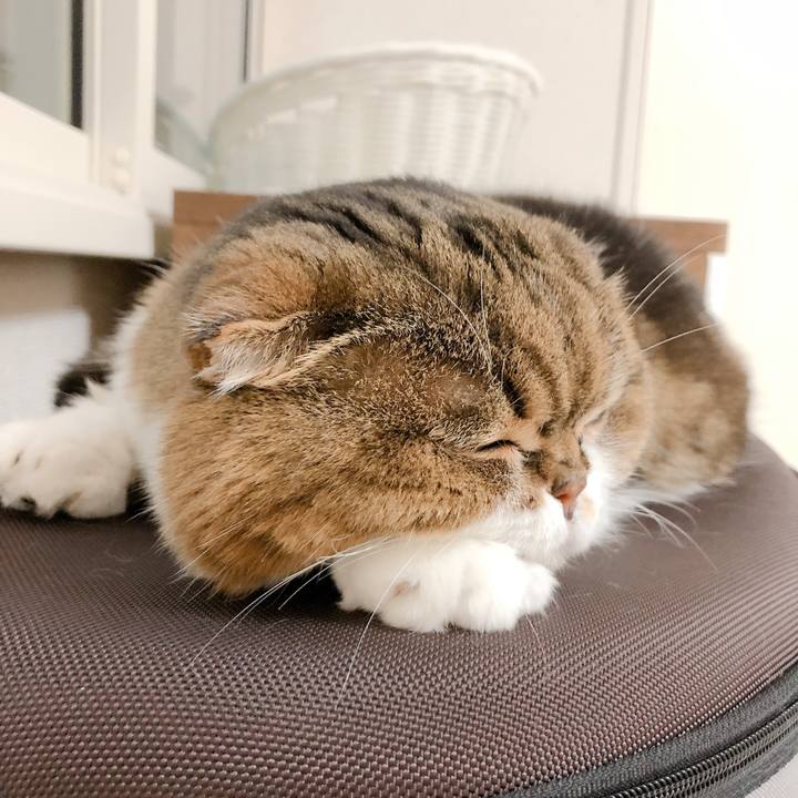 Fc2cee7c 4d48 4b80 b40d 40f87d933368 1594481851654