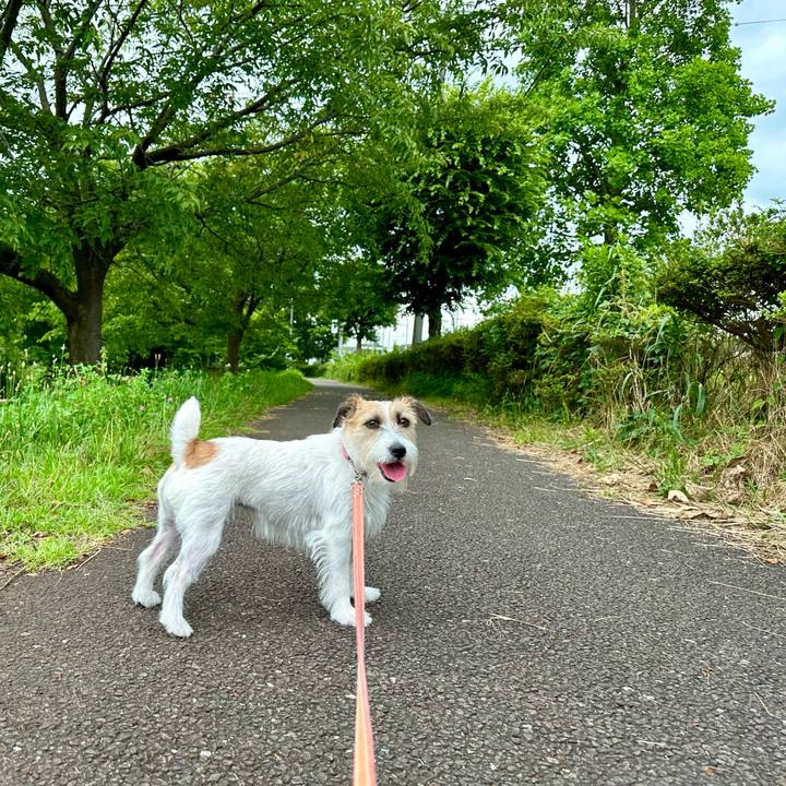 Fc2d643f 814c 44b6 b6da 5e492b756b02 1688852650299