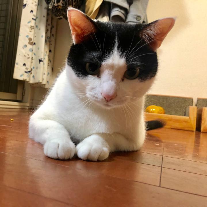 Fc2d92db b6d4 4515 b752 422b20c4eb8e 1557119117094