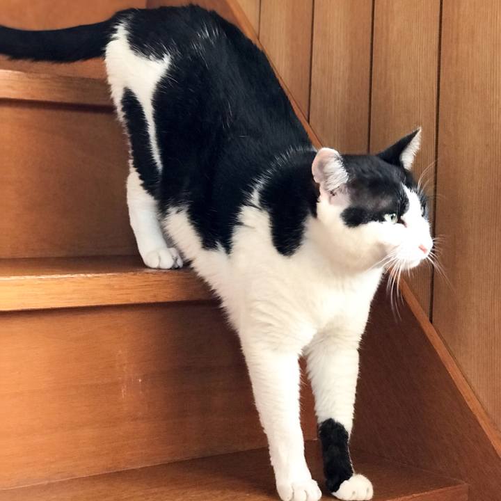 Fc2da70a 76e5 413b 913d acc627b84656 1528941420060