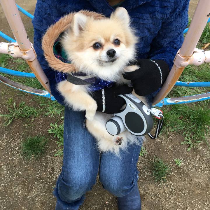 Fc2db76c 1967 466b bfaa 441833ec81a9 1508669314046