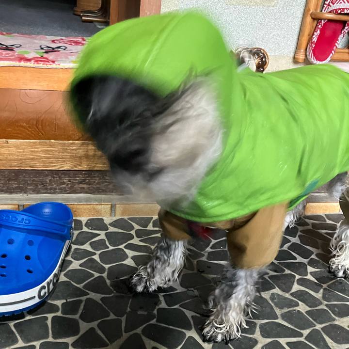 Fc2def8f 84d0 4c2f a208 3eac15f2d918 1716953991067