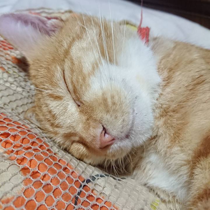 Fc2df282 0489 4f6a 888f b7166d974f75 1570798005526