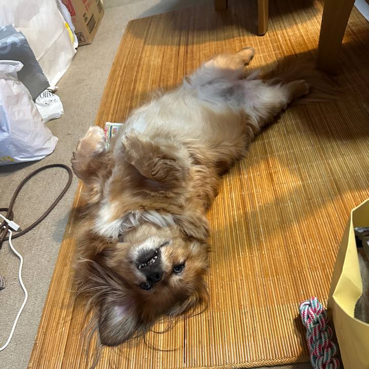 Fc2e1da1 a473 42cf be99 e472ed84114d 1753997383112