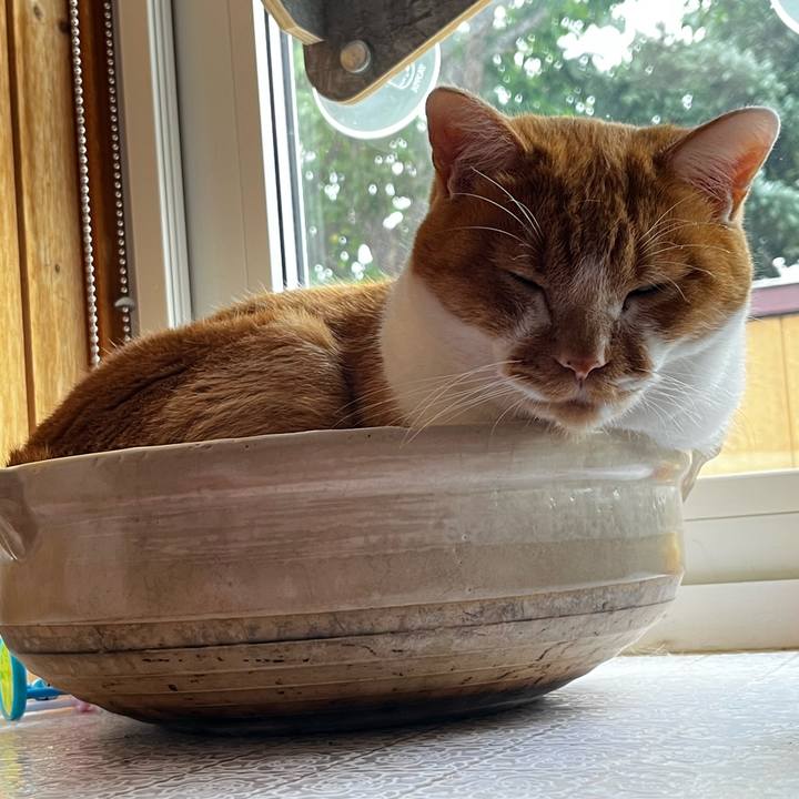 Fc2e4be4 3ecb 4617 b932 c1bd92102778 1722742877069