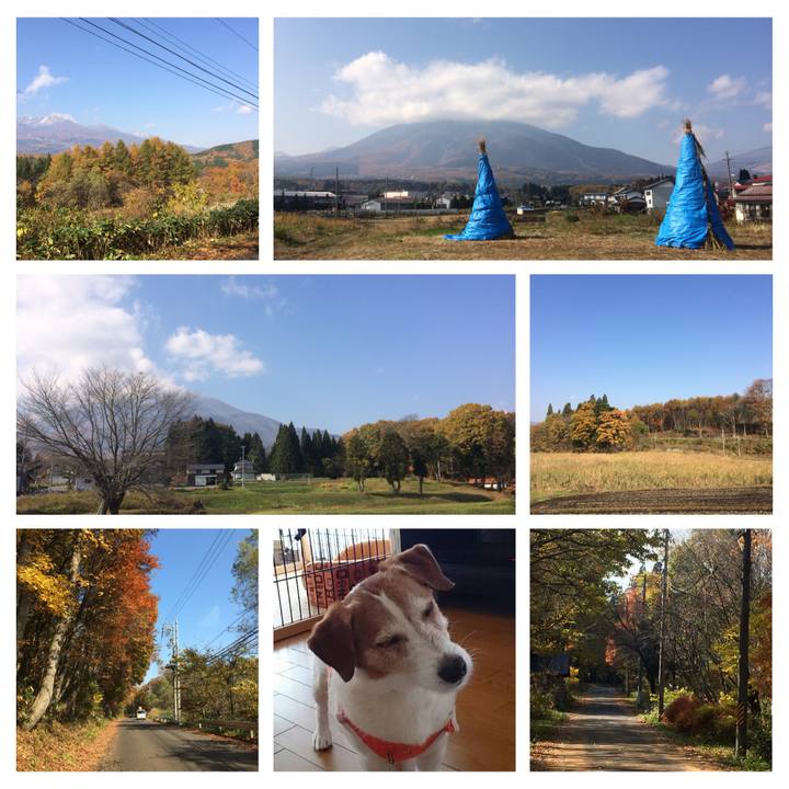 Fc2e523d e945 4f4d 8a87 d6cf4f94342c 1509863801405