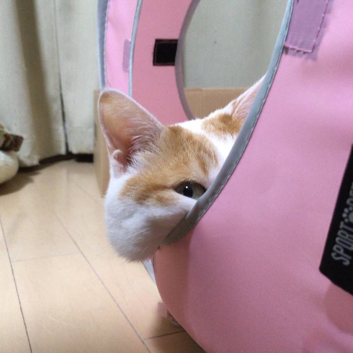 Fc2e69cc 65d9 44d2 a00d 053fb573cbb6 1512047879518