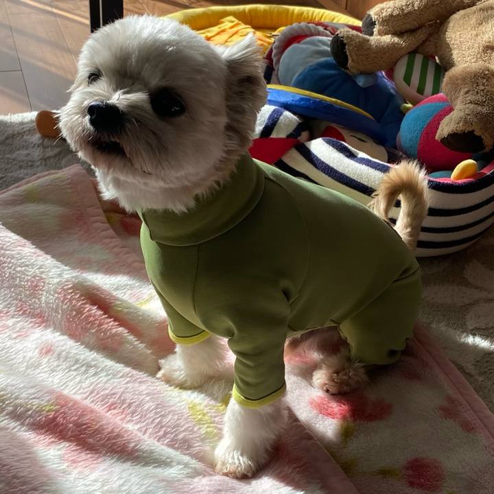 Fc2e79c3 7b48 420e a048 dde1e39b99af 1703317229340