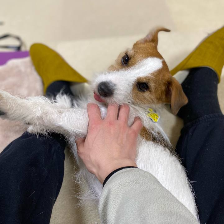 Fc2e80c0 347c 48e6 99a6 8c7128872afc 1676466985931