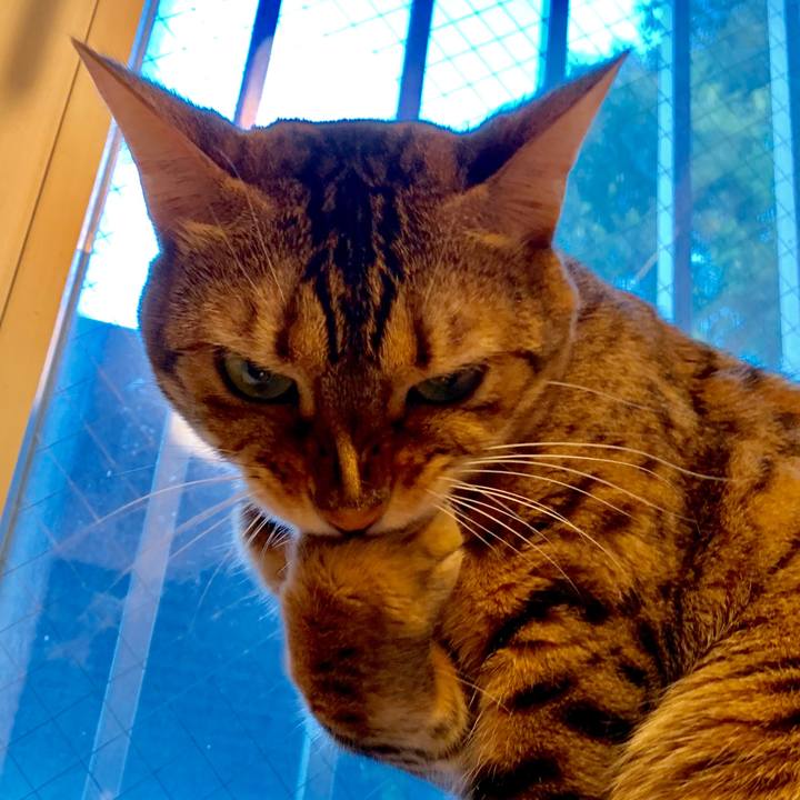 Fc2eb501 8de0 4296 b982 a3167600f870 1568590219402