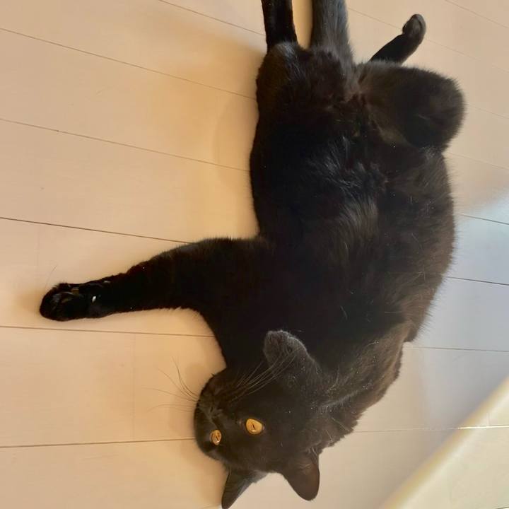 Fc2ece00 2056 407a 9819 9f7a82deac49 1635572520621