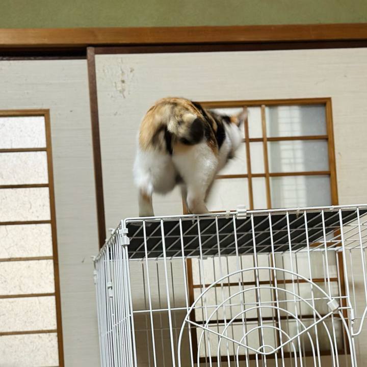 Fc2f1a27 b1ba 4d53 a9e8 8fee940d8e2c 1713749681571