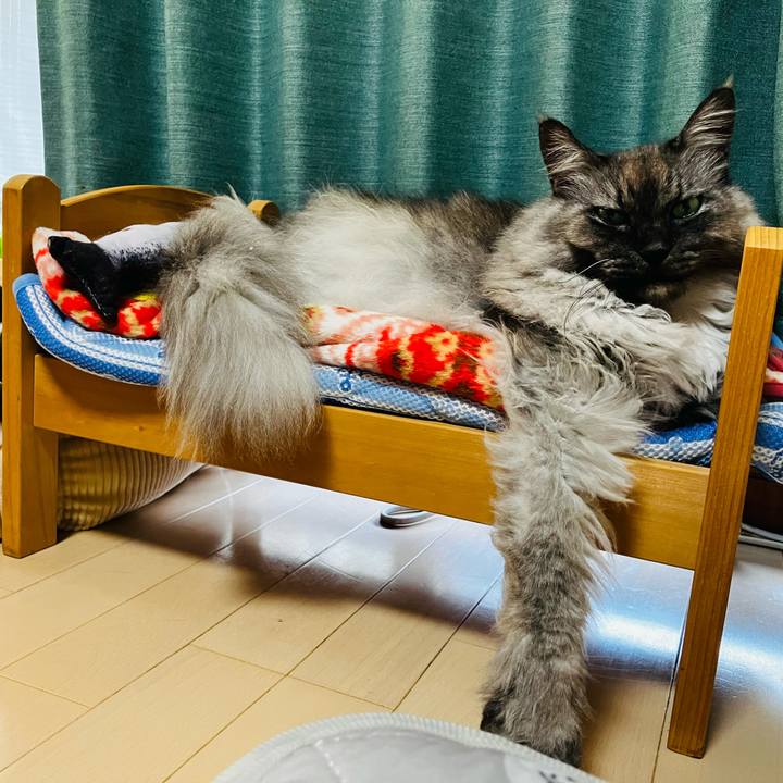 Fc2f1b4a e0d5 43eb 8d93 ec8d01411958 1735256624279