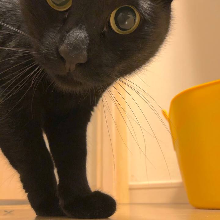 Fc2f388c 8239 4a2c 9029 3a5d932a94e5 1513683624840