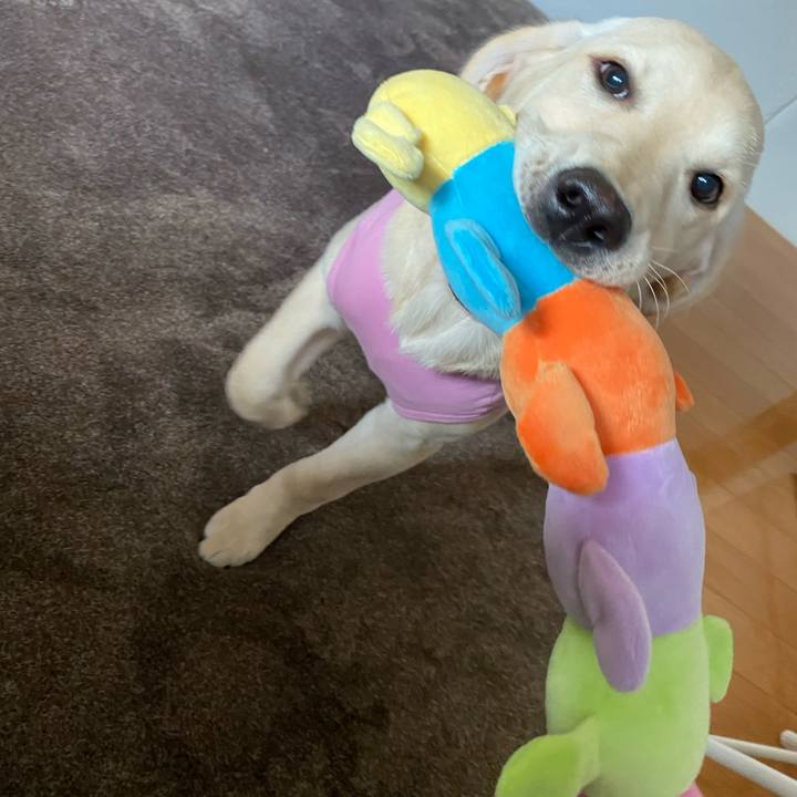 Fc2f45dc d031 4b91 b142 2895745a641b 1616414549427