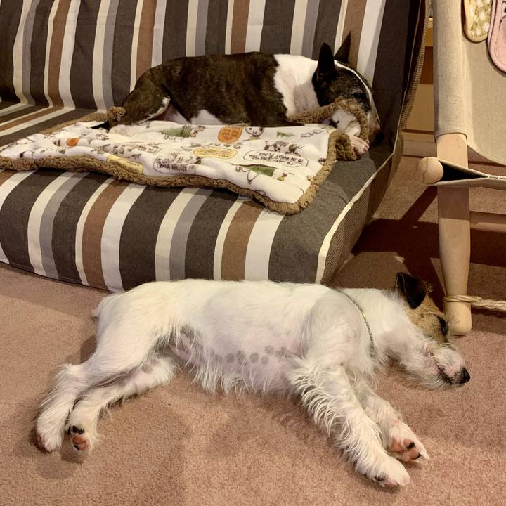 Fc2f4738 58b2 49e2 ae50 fae218717fcb 1616332969511