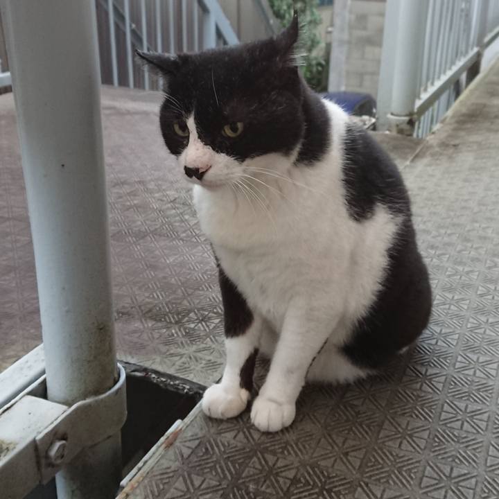 Fc2f699f 7035 4a5e bdfd 25d445f37c6e 1596934933601